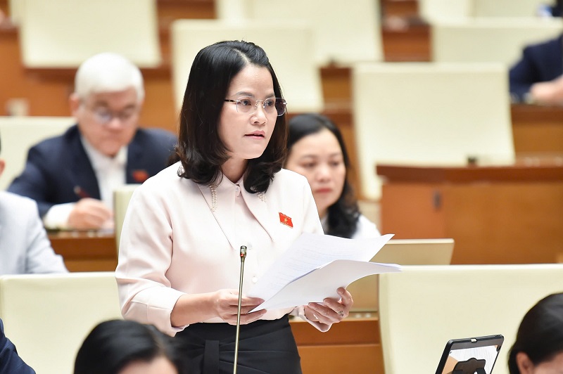 Đại biểu Quốc hội cảnh báo tình trạng đua nhau ưu đãi thu hút nhà đầu tư bất động sản