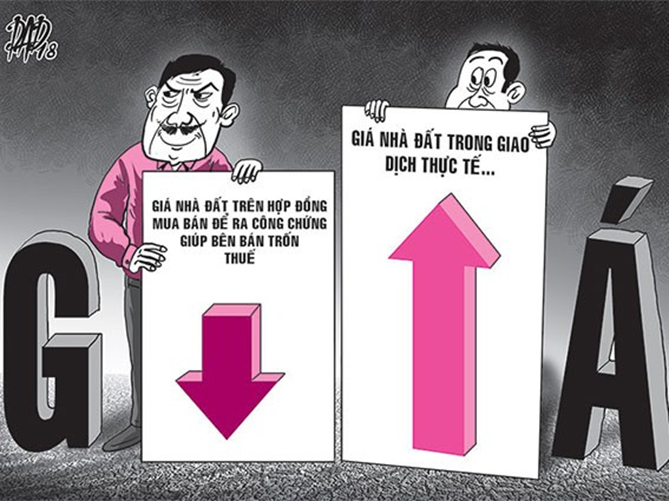 Bảng giá đất TP.HCM 2026: Những điều đặc biệt cần biết- Ảnh 4.