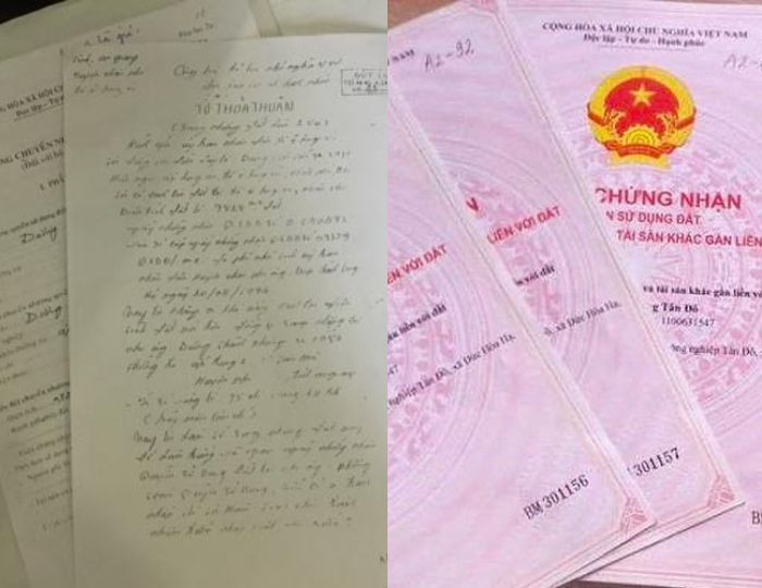 TP.HCM cảnh báo tình trạng bán 'nhà trên giấy' chưa đủ điều kiện