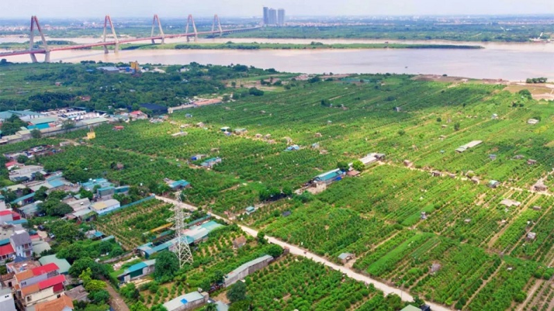 Tin vui cho hàng triệu người dân cả nước từ ngày 1/1/2026- Ảnh 1.