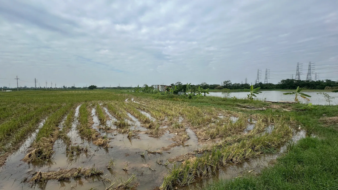 Cụm công nghiệp làng nghề Hòa Bình giai đoạn 1 Hà Nội- Ảnh 3.