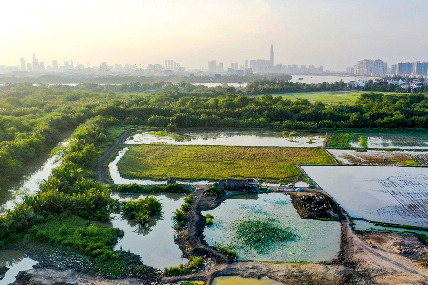 Bảng giá ĐẤT NÔNG NGHIỆP sắp giảm mạnh, tiền chuyển đổi TĂNG CAO