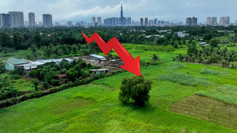Giá đất nông nghiệp TP.HCM giảm: Giám đốc Sở Tài nguyên và Môi trường nói gì?