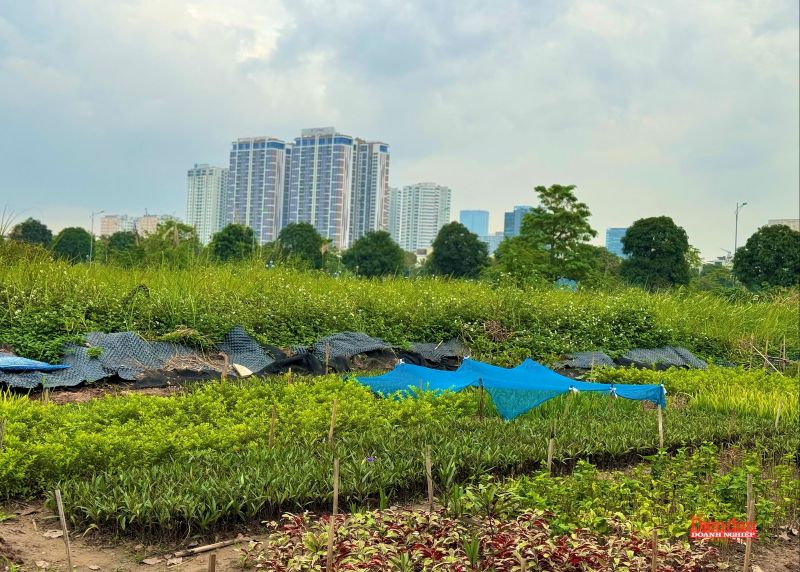 Bất động sản 2026: Loạt chính sách mới định hình chu kỳ phát triển mới