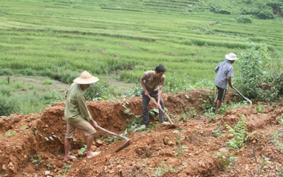 Đất xã giao để khai hoang, sản xuất có được cấp Giấy chứng nhận?