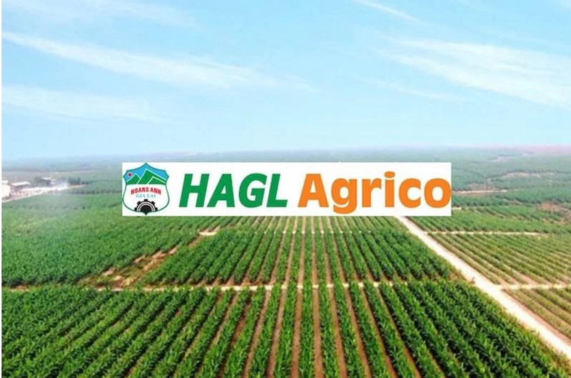 HAGL đăng ký bán toàn bộ hơn 91 triệu cổ phiếu HAGL Agrico