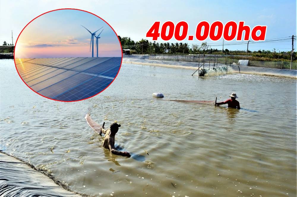 Nghiên cứu triển khai điện gió, điện mặt trời kết hợp nuôi trồng thủy sản và điện khí LNG tại Cà Mau