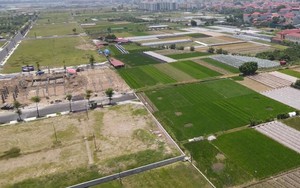 Đất sử dụng sai mục đích phải đăng ký biến động