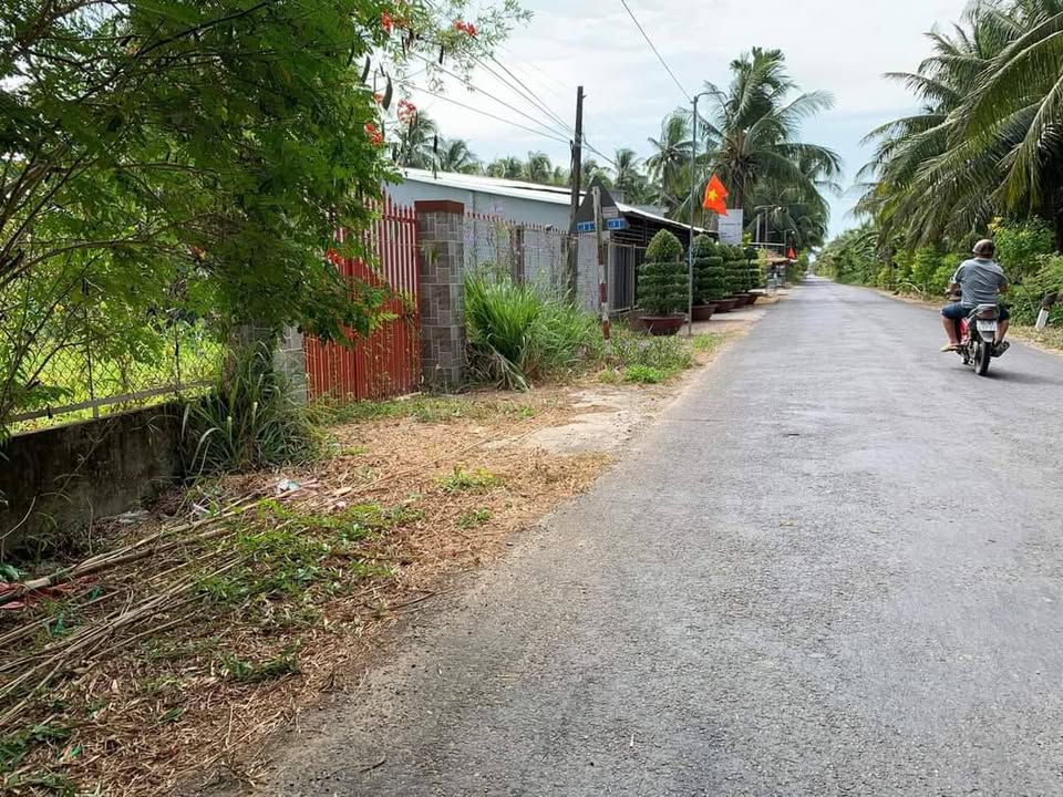 Tin vui dân Vĩnh Long: Sắp thi công tuyến đường hơn 54km vắt ngang tỉnh Trà Vinh cũ- Ảnh 3. Tin vui dân Vĩnh Long: Sắp thi công tuyến đường hơn 54km vắt ngang tỉnh Trà Vinh cũ- Ảnh 3.