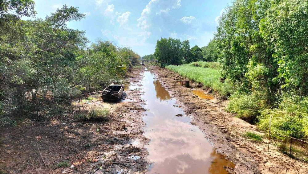 Một dự án hơn 5.300 tỷ đồng dẫn nước từ sông Hậu đang được Cà Mau xem xét