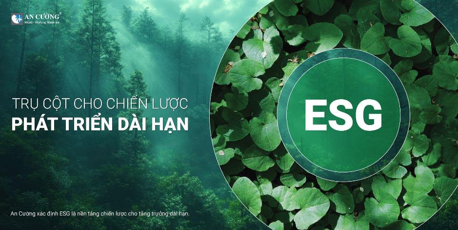 An Cường – 30 năm phát triển bền vững, tiên phong hướng tới mục tiêu Net Zero 2050- Ảnh 3.