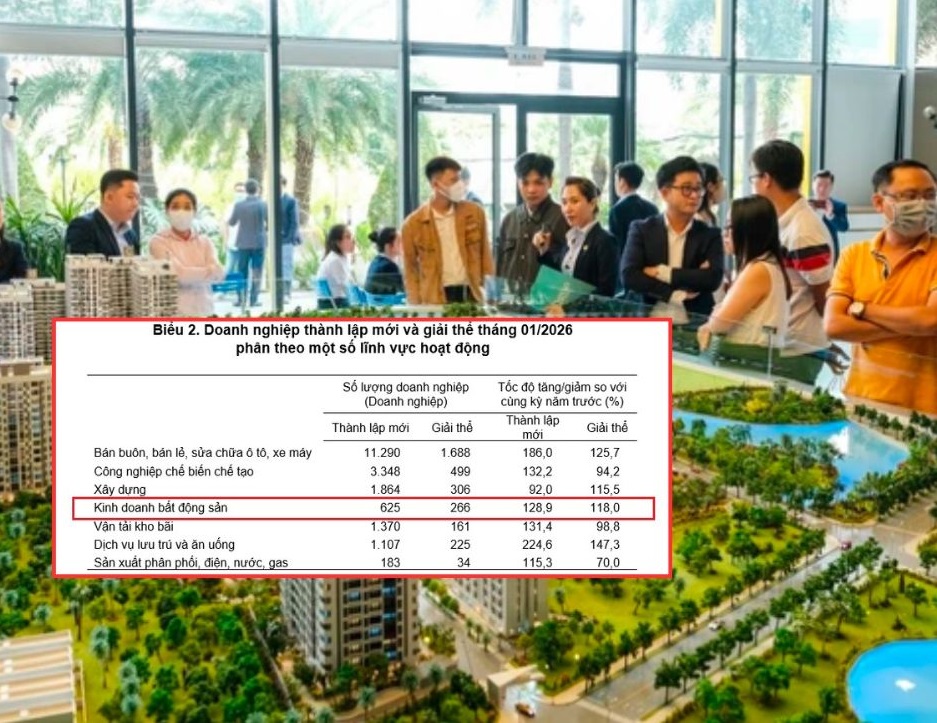 Tháng đầu tiên năm 2026, số lượng doanh nghiệp kinh doanh bất động sản thành lập mới tăng mạnh