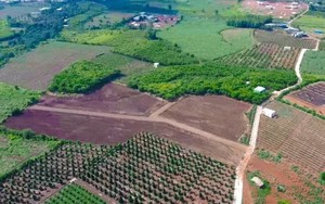 Trường hợp nào được cấp Giấy chứng nhận và miễn tiền sử dụng đất?