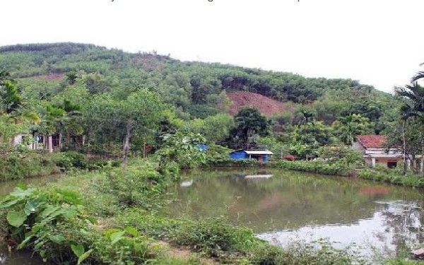 Căn cứ xác định là đất vườn, ao gắn liền đất ở