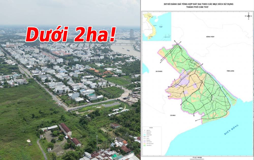Ai đang tính chuyển mục đích sử dụng đất dưới 2ha tại Cần Thơ cần đọc ngay quy định mới này!