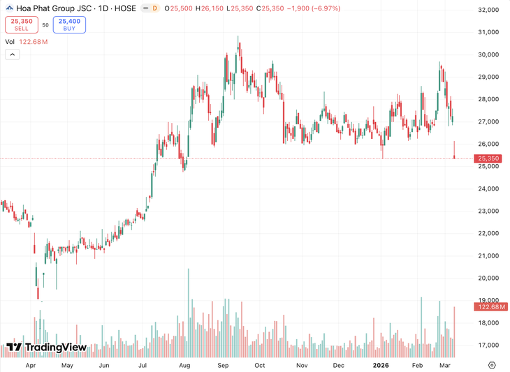 Con trai tỷ phú Trần Đình Long đăng ký mua 50 triệu "cổ phiếu quốc dân"- Ảnh 2.