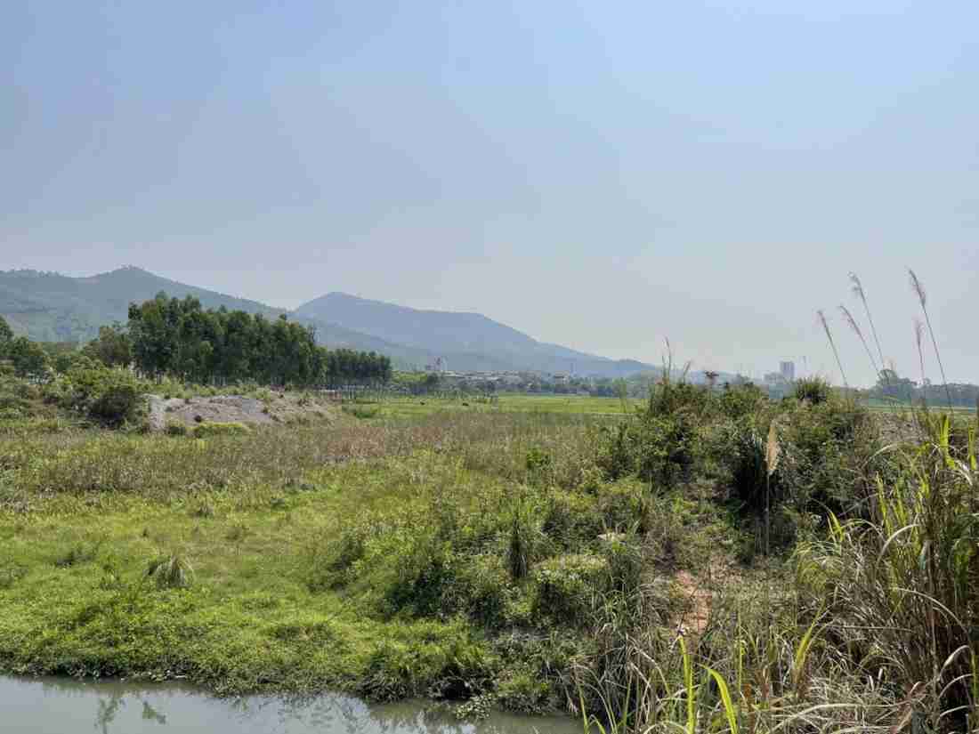 Quảng Ninh “điểm danh” 68 dự án vướng mắc kéo dài, yêu cầu xử lý dứt điểm trong năm 2026