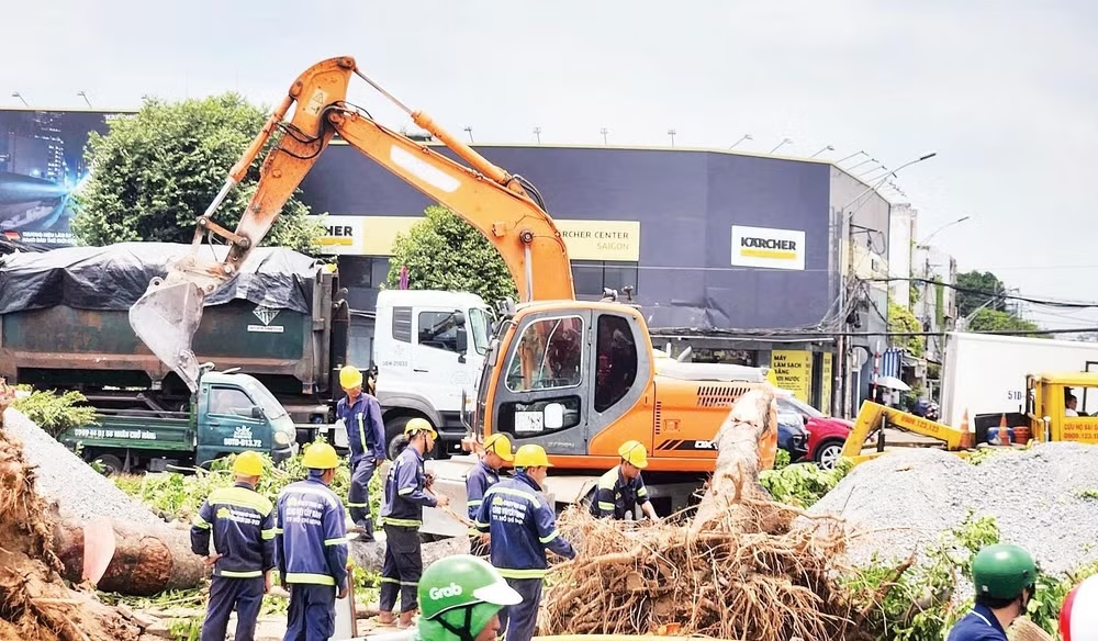 Bù đắp mảng xanh ở các công trình trọng điểm