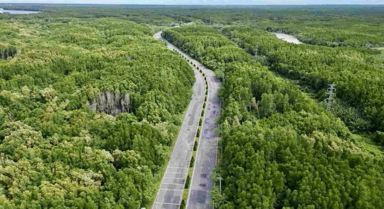 TP.HCM chấp thuận lập đề xuất nâng cấp đường Rừng Sác lên 10 làn xe, vốn hơn 19.000 tỷ đồng