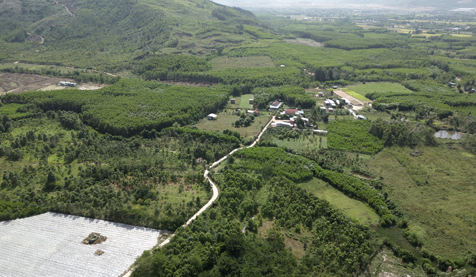 Gần 600 ha rừng tại Phú Thọ được chuyển đổi để làm 3 dự án hơn 8.000 tỷ đồng