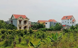 Đất trồng cây lâu năm đã xây nhà có được cấp Giấy chứng nhận?