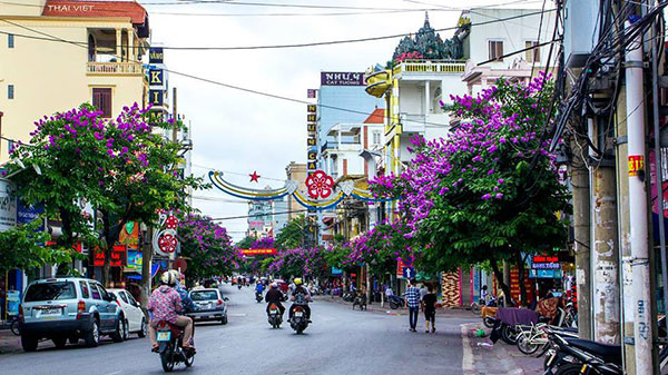 Hải Phòng chấp thuận 3 doanh nghiệp thực hiện thí điểm nhà ở thương mại