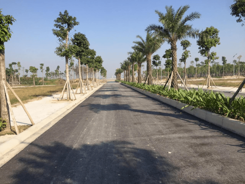 Hòa Phát Forestar: Dự án khu đô thị tại Hưng Yên- Ảnh 8.