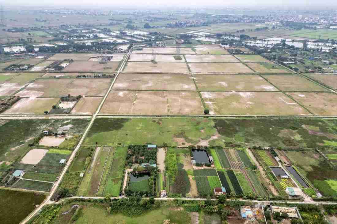 Thu hồi gần 28 ha đất lúa tại Tam Hưng để triển khai phân khu đầu tiên của đại đô thị Olympic