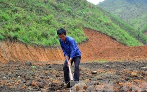 Nhận chuyển nhượng đất để thực hiện dự án có phải làm thủ tục thuê đất?