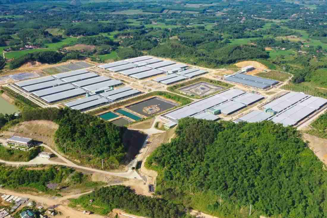 Hà Nội nghiên cứu tổ hợp chăn nuôi công nghệ cao 220 ha tại khu vực phía Tây thành phố