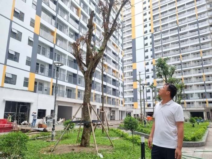 Khó cho nhà ở xã hội