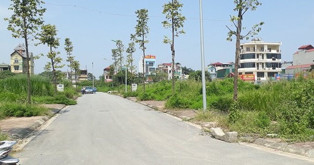 Hà Nội chuẩn bị đấu giá khu đất hơn 2 ha với giá khởi điểm gần 1.100 tỷ đồng- Ảnh 1.