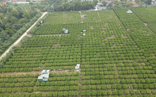 Đất lúa trong khu dân cư, khi nào được chuyển sang đất ở?