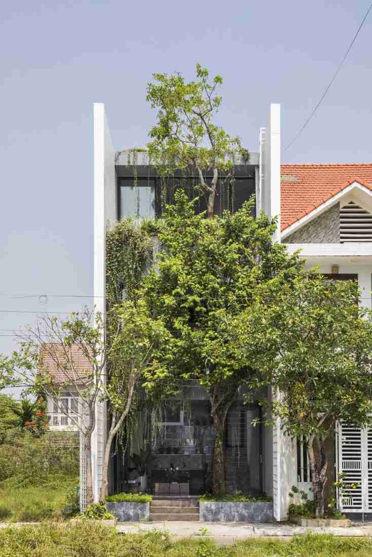 Nhà phố 100m2 tại Huế: Hóa giải nắng nóng hướng Nam bằng vùng đệm xanh