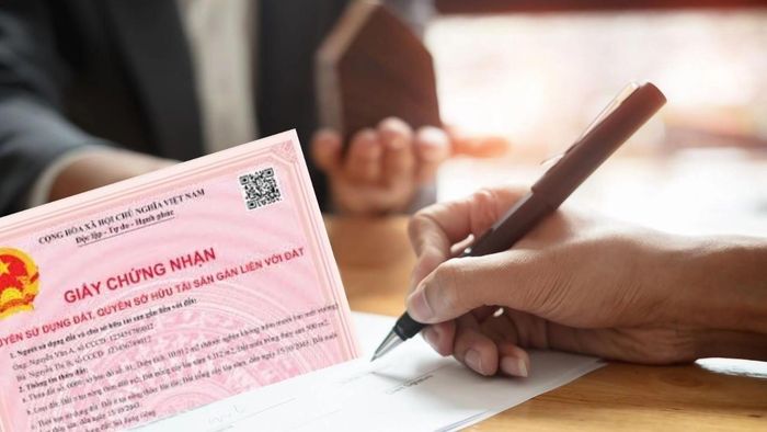 Thủ tục cấp đổi sổ đỏ đã cấp tại Cần Thơ theo quy định mới nhất