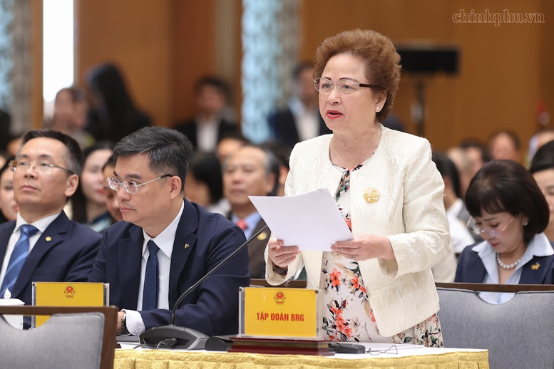 Chủ tịch BRG đề xuất thí điểm cơ chế đặc thù với tổ hợp thương mại, du lịch và vui chơi giải trí quy mô lớn