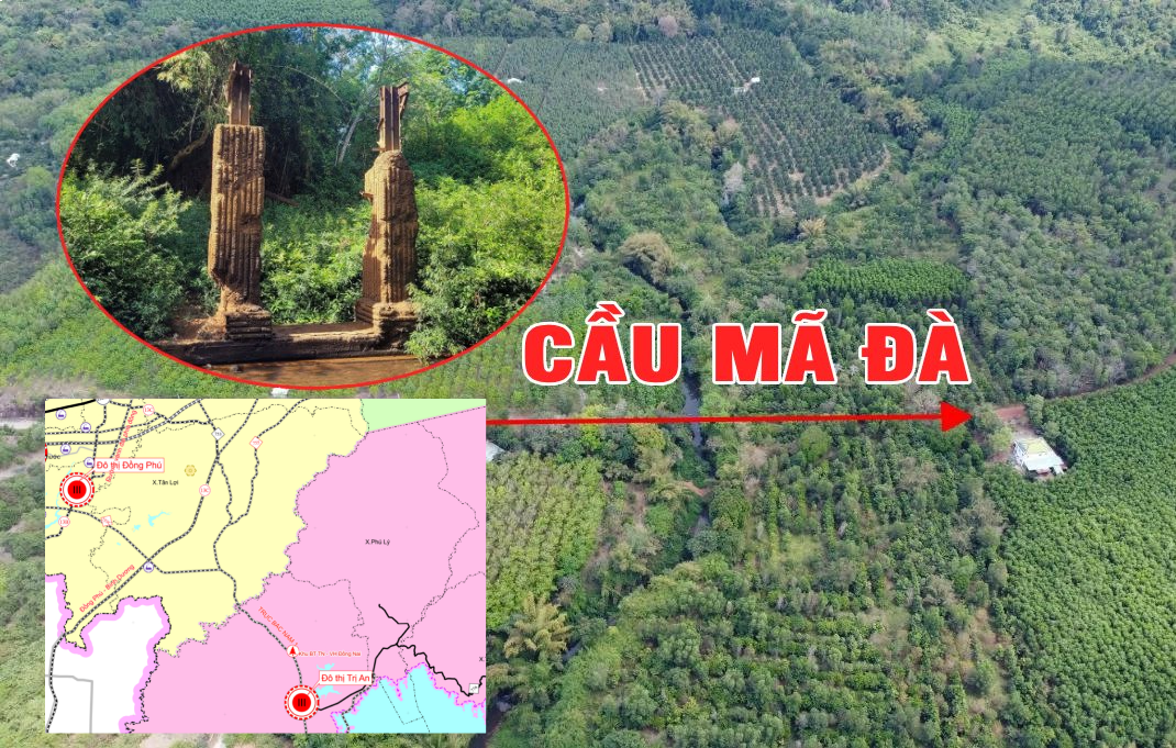 Cây cầu 8 làn xe kết nối phía Bắc và phía Nam Đồng Nai vừa có bước tiến quan trọng