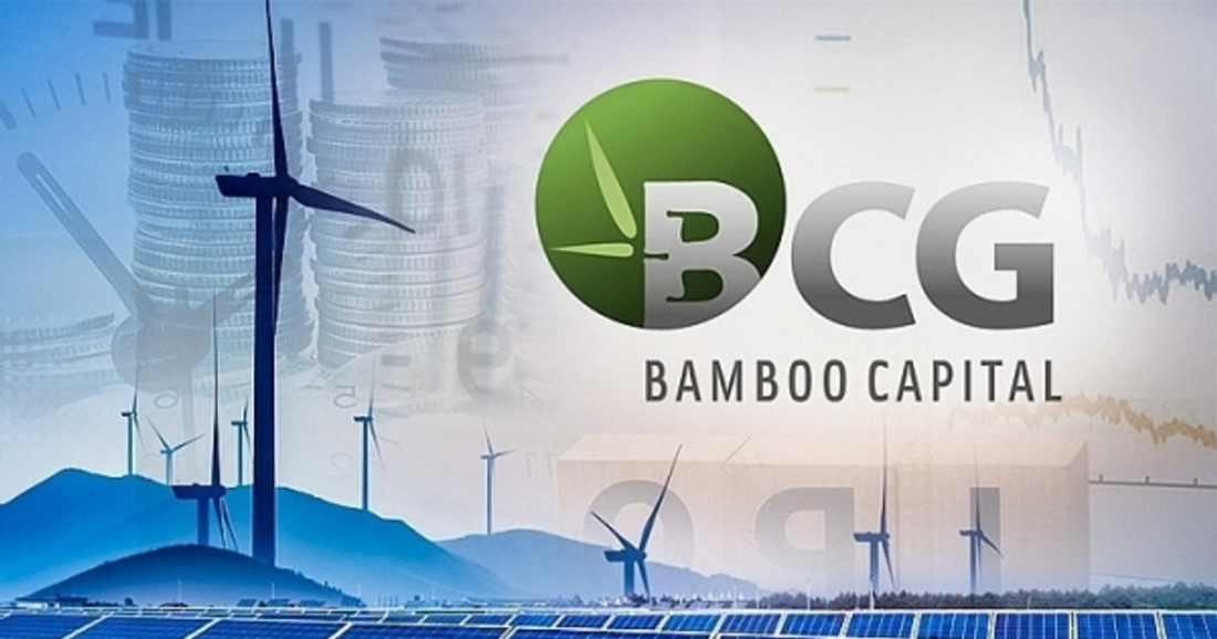Hai cổ phiếu Bamboo Capital sắp rời UPCoM