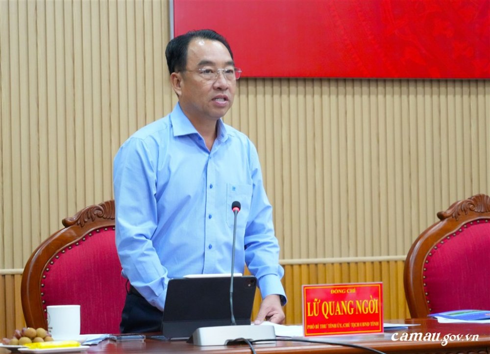 Cà Mau đề xuất xây trung tâm dự trữ năng lượng quốc gia, phát triển điện gió ngoài khơi- Ảnh 1.