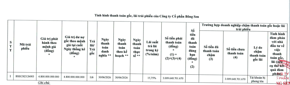 Một số doanh nghiệp bất động sản tiếp tục khất nợ trái phiếu- Ảnh 1.