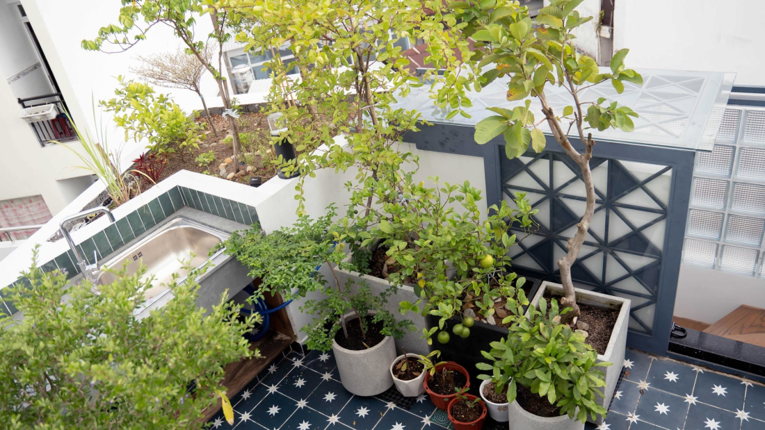 Nhà phố chỉ 20 m² TP.HCM: Cấu trúc xoay khối vuông và dải đệm thang bọc quanh- Ảnh 14.