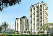 VRG River View: Vị trí vàng cho căn hộ