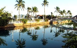 "Chúa đảo" Tuần Châu nói về kinh tế tri thức