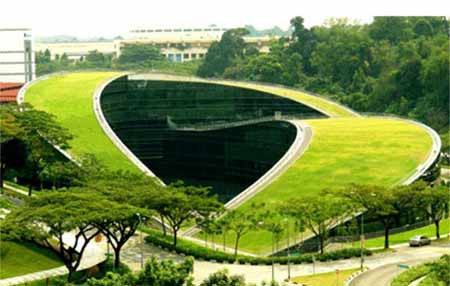 6 ngôi nhà chống 