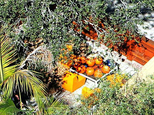 Gia đình Angelina Jolie và Brad Pitt đang ở Anh nên biệt thự tại Los Angeles tạm thời bỏ trống.