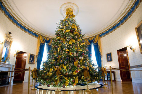 Since 1961, the principal White House Christmas tree has been placed in the center of the room.