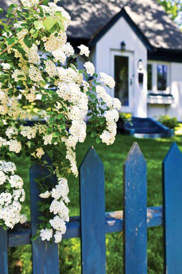 Các kiểu hàng rào cho nhà ống Các kiểu hàng rào cho nhà ống