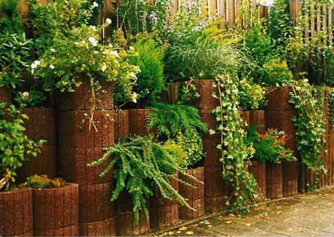 Các kiểu hàng rào cho nhà ống Các kiểu hàng rào cho nhà ống