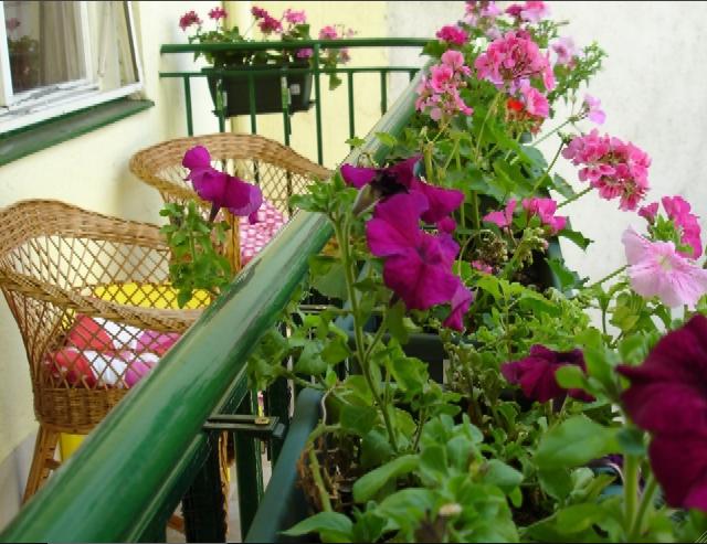 Trang trí cho ban công nhỏ Trang trí cho ban công nhỏ